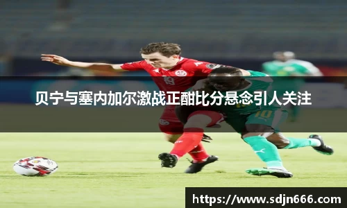 mk体育平台