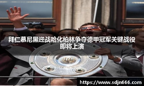 mk体育平台