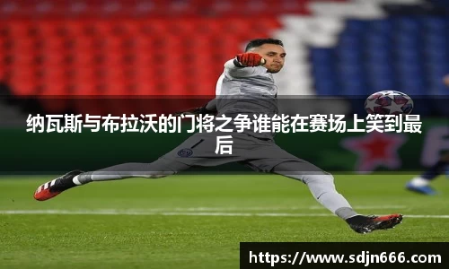 mk体育