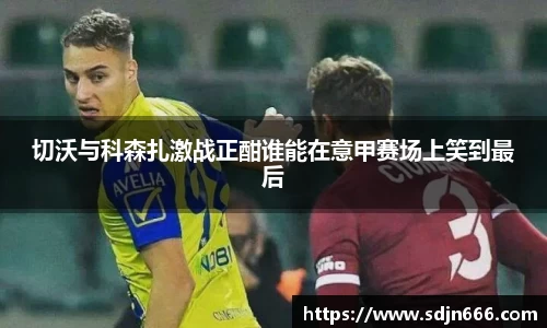 mk体育平台