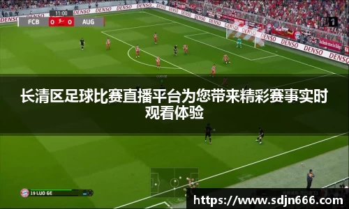 mk体育平台