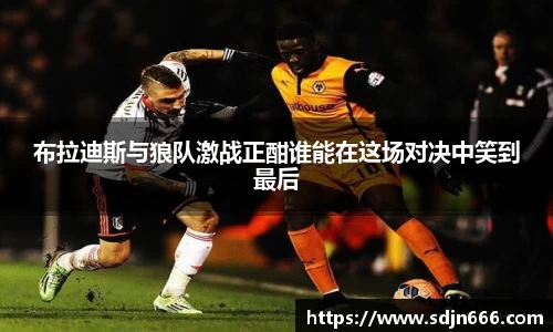mksport体育